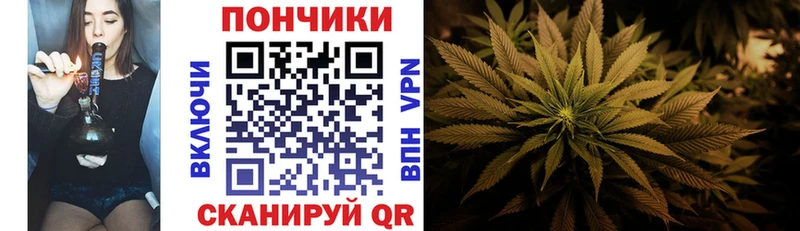 цены   Шуя  МАРИХУАНА THC 21% 